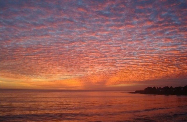 Sweet 1 BDRM Cottage, FAST WIFI, near ocean, W&D, Full kitchen and bath, BBQ!