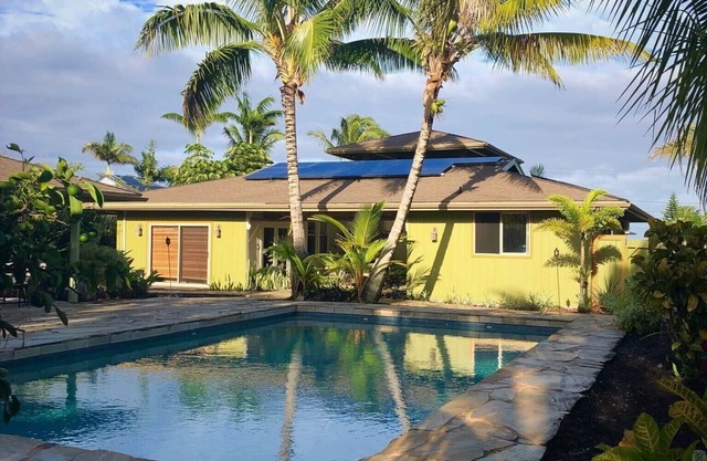 Swimming Pool, Observation Deck, and Palm Trees