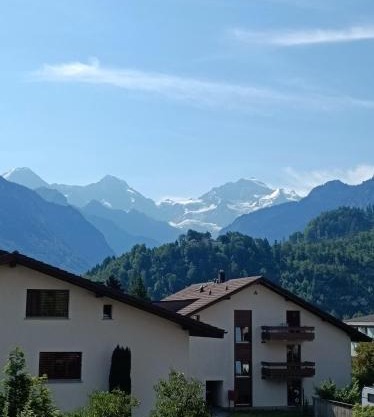 Swiss Alpine view apartment