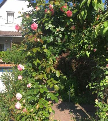 Szalonka apartman