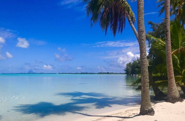 TAHAA - Motu Lodge Moana