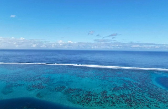 TAHITI - Studio Tiamao Manini