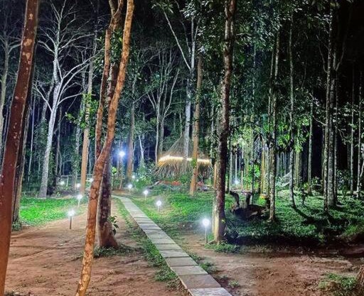Tall Trees - Modern forest Villa in Wayanad