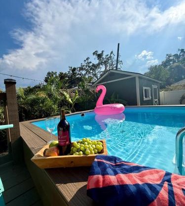 Tampa Jungalow- Pool Oasis