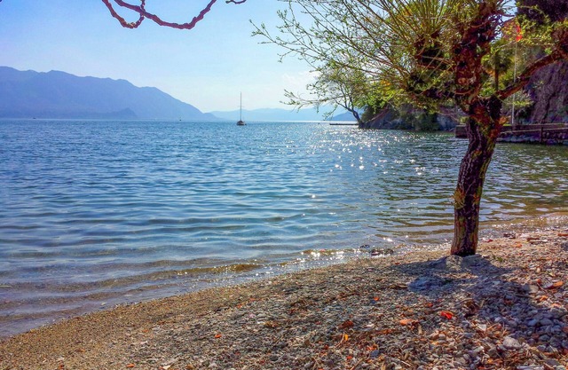 Tastefully furnished 3�-room apartment with private lake access