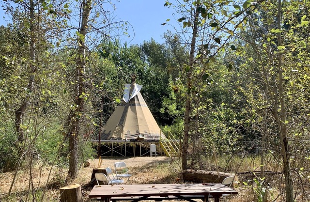 Teepee tipi in 10 acre Forest Riverfront in Eagle!