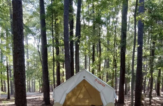 Tentrr State Park Site - Louisiana North Toledo Bend State Park - Forest Glade H