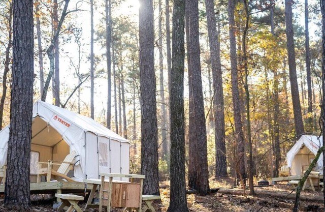 Tentrr State Park Site - Mississippi Clarkco State Park - Woodland B - Double Ca