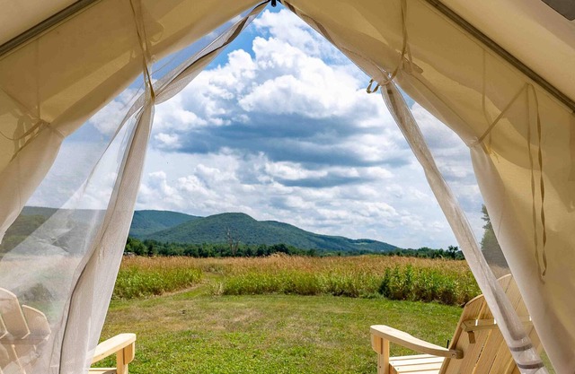 Tentrr State Park Site - NY Taconic State Park: Orphan Rd Site D