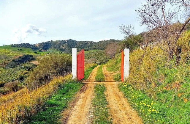 Tenuta Balabaia: Daimyō Suite