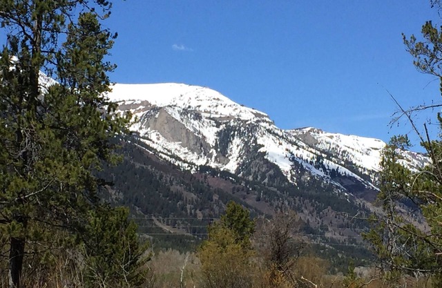 Teton Mountain Views!