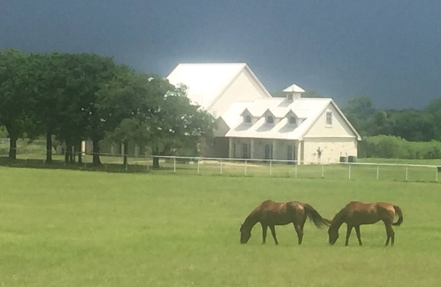 Texas Ranch Resort Setting