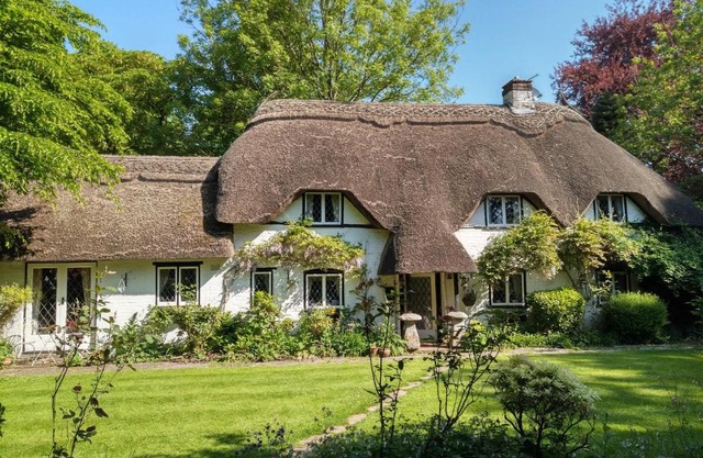 Thatched Eaves
