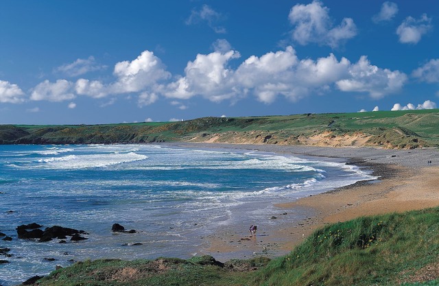 The Barn and Chaffhouse, Rural, Pet Friendly Traditional Welsh Barn Conversion