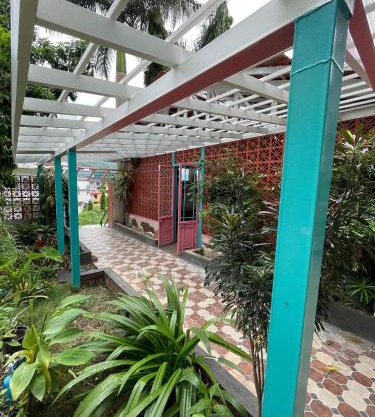 The Blue House