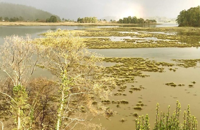 The Cliffs - Ortigueira SeaLoch