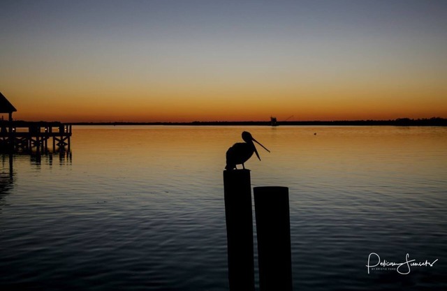 The Cottage at Big lake