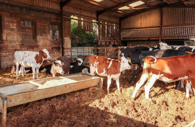 THE COTTAGE, family friendly, character holiday cottage in Belper