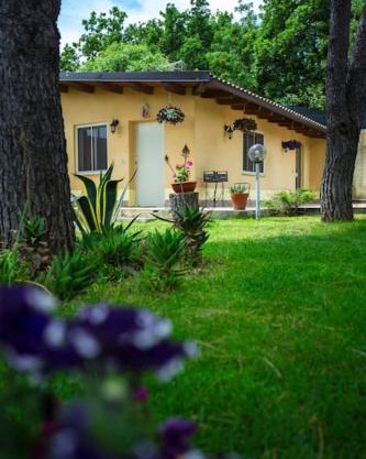 The Cottage