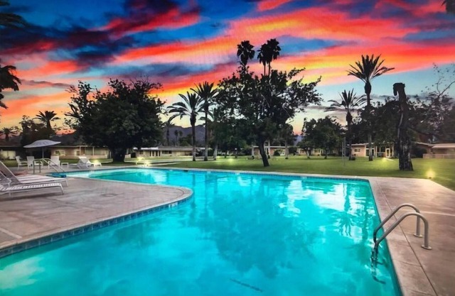 The Desert Martini-A Mid-Century Modern-Luxury