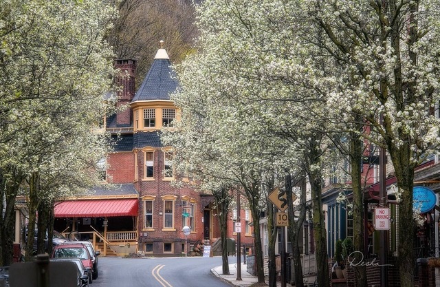 The Dolon House Bed and Breakfast