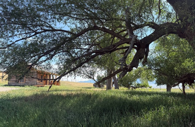 The Dovetail Cabin in Ennis