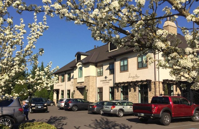 The Dundee - A Trace Hotel