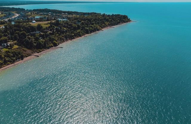 The Eleanor - Steps to Lake Huron!