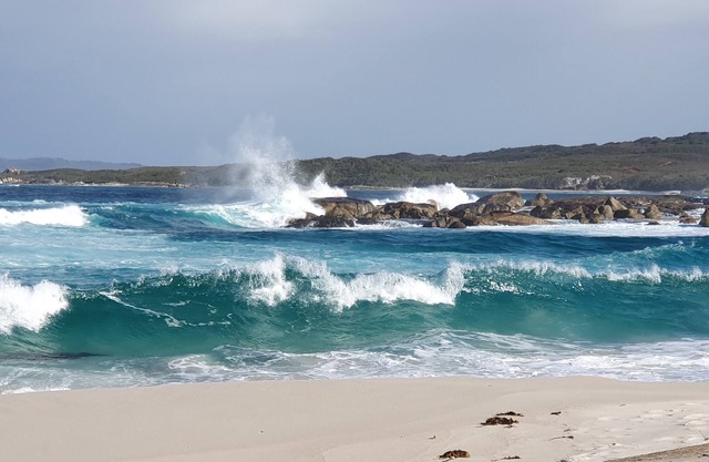 The Honey Possum - Amongst the Karri Forrest - Sleeps 8