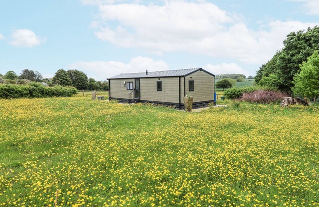 THE HOOT, pet friendly, with a garden in Stowmarket