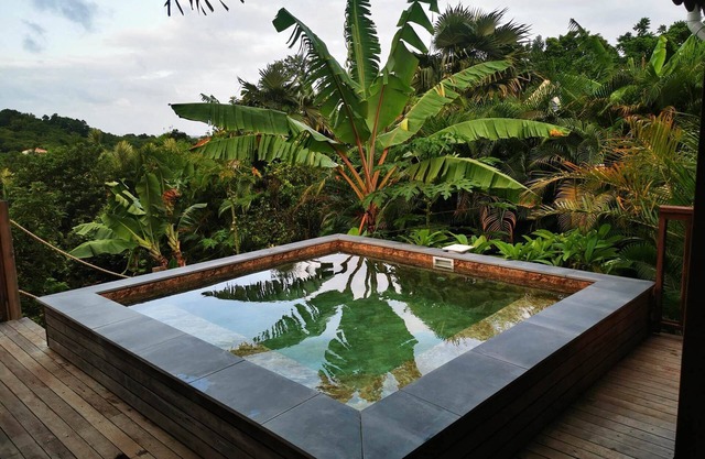 The Horizon of the Balisiers