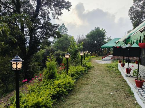 The jungle book by lake & woods