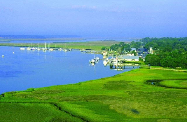 The Lil Pink House beckons, relax under the Live Oaks!