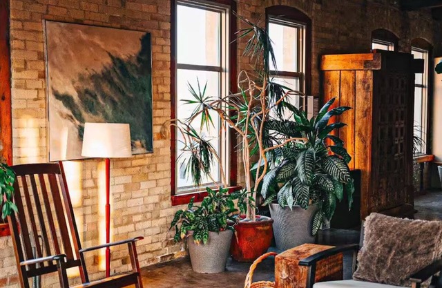 The Nest: Luxury Penthouse Suite