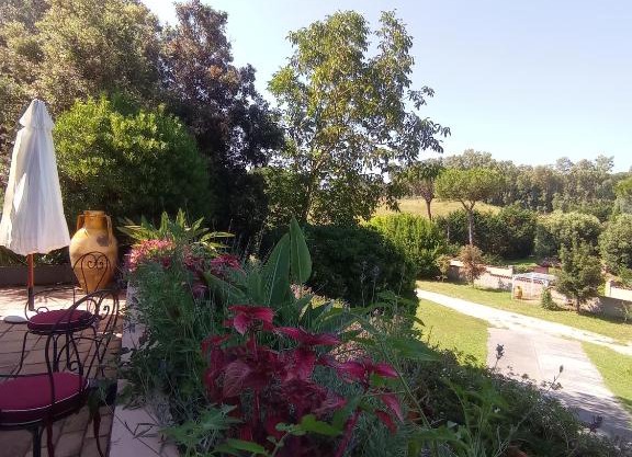 The Olive Grove Roma Guest House