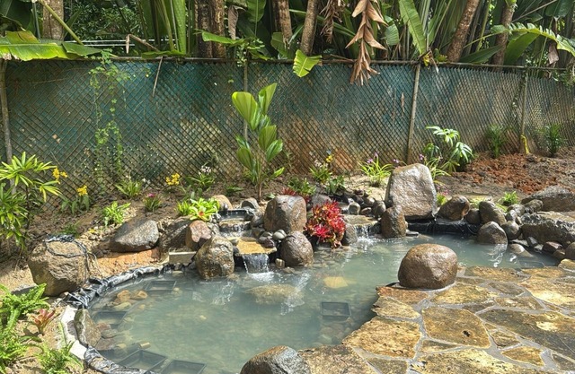 The ONLY glamping site in the New Millennium Forest in San Juan, PR