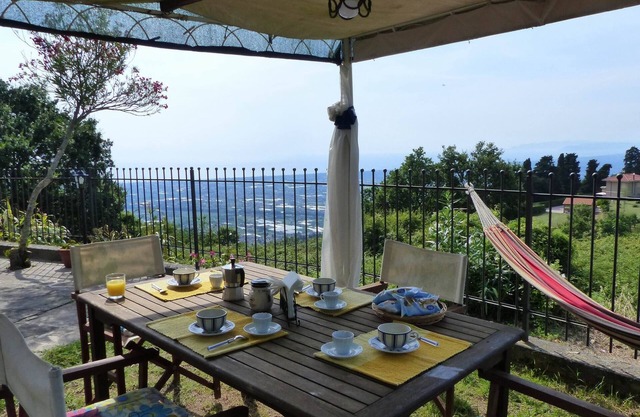 The Paradis at a glance