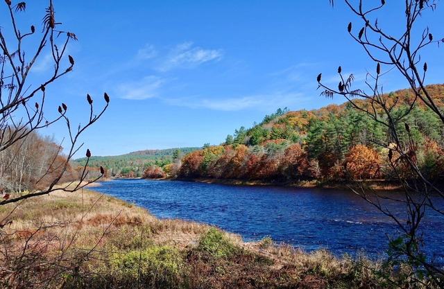 The Perfect Adirondack Getaway Waterfront Cabin