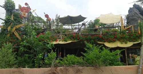 the rustic ecoscape
