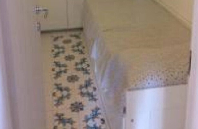 THE SONG OF THE MERMAID