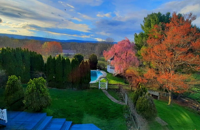 The Van Gogh Room in Villa