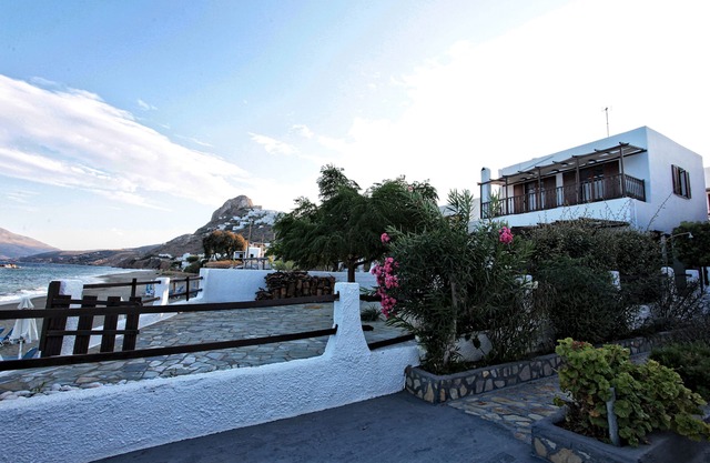 "TheaHouse In Skyros"