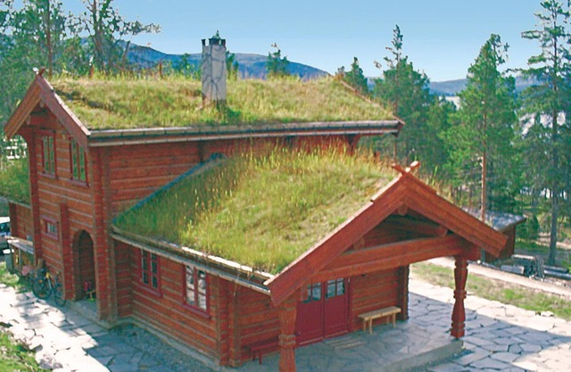 This is a lovely log cabin in Savalen.