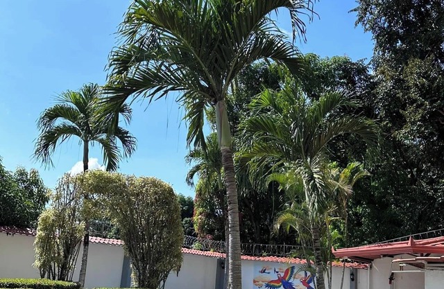 Thompson House, Costa Rica, Orotina, the town that is close to everything