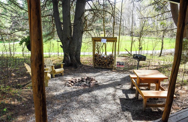 Tiny Bear Log Cabin near Cook Forest State Park