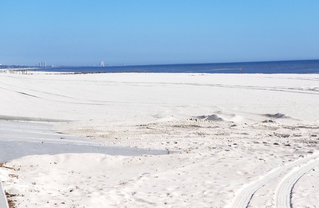 Tiny House by the Beach