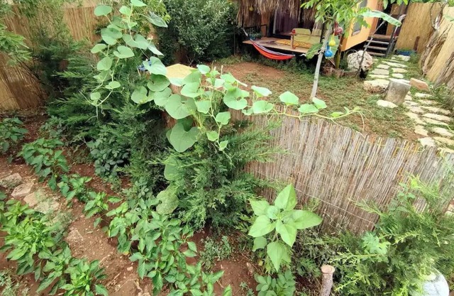 Tiny House Ceviz Kayaköy Jungle Camping