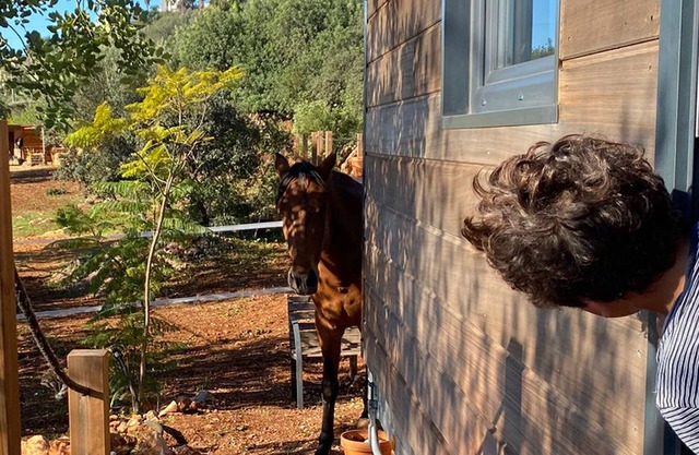 Tiny House & Horses Hébergement Atypique à Loulé