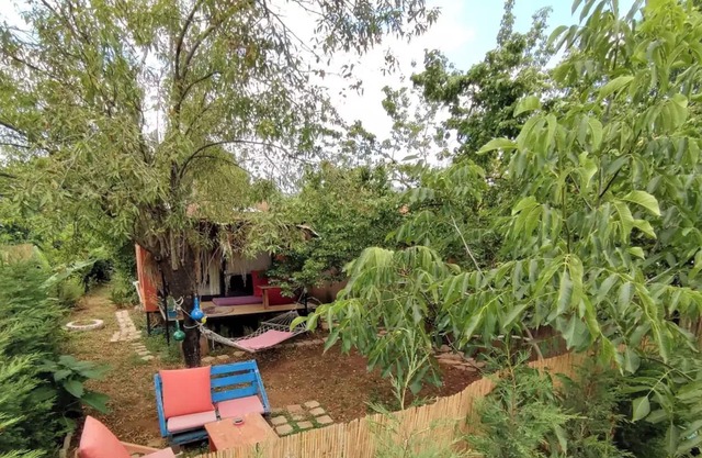 !!Tiny House İncir!! Kayaköy Jungle Camping