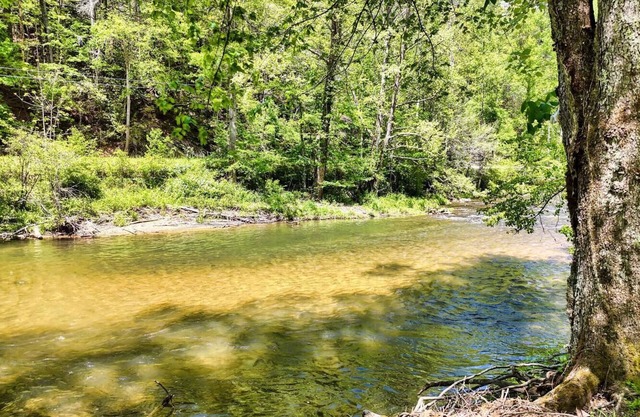 Toccoa River Cabin - Peaceful, Private Fishing Retreat on the Toccoa River!